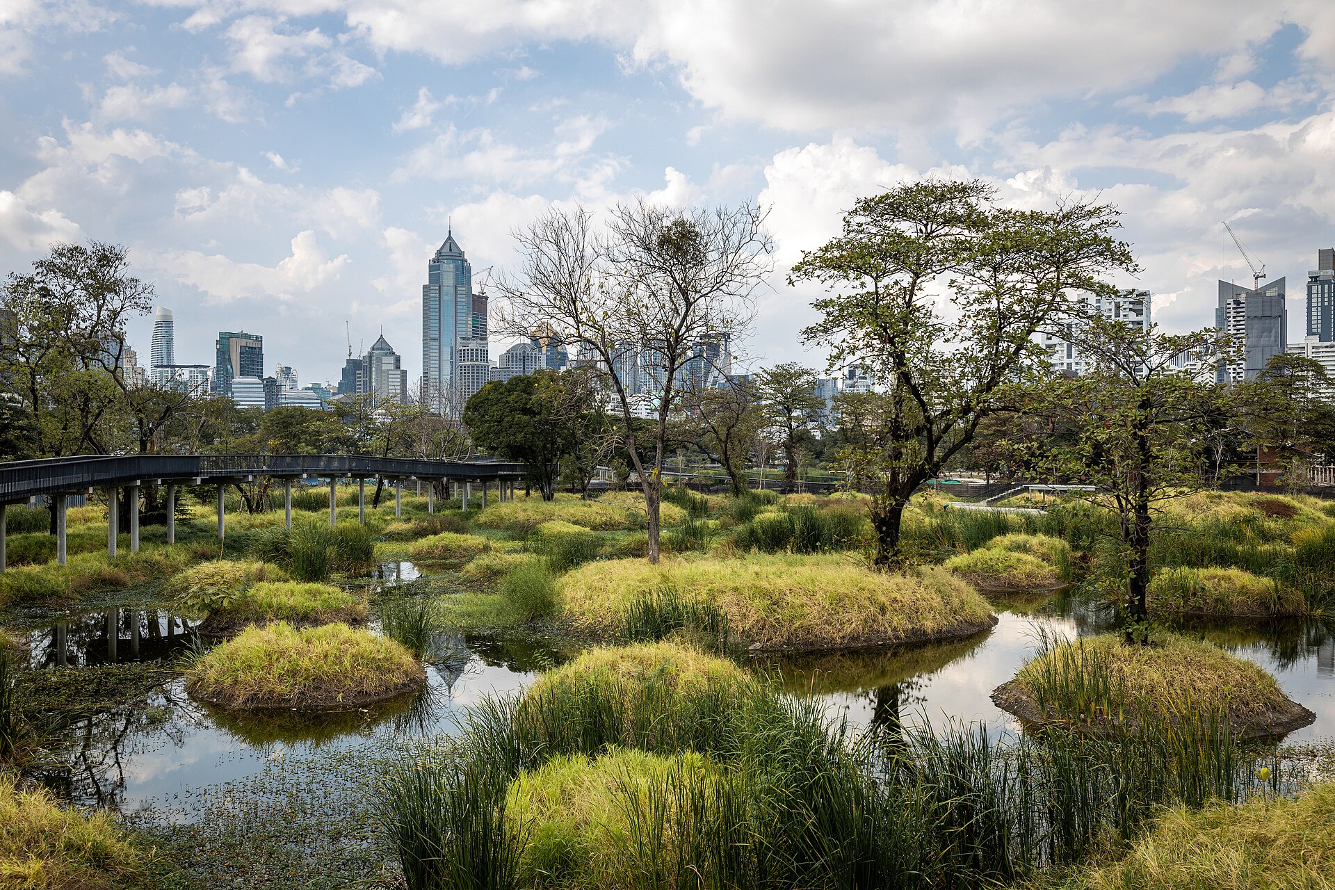 Wetland landscape and city skyline at Benjakitti Forest Park